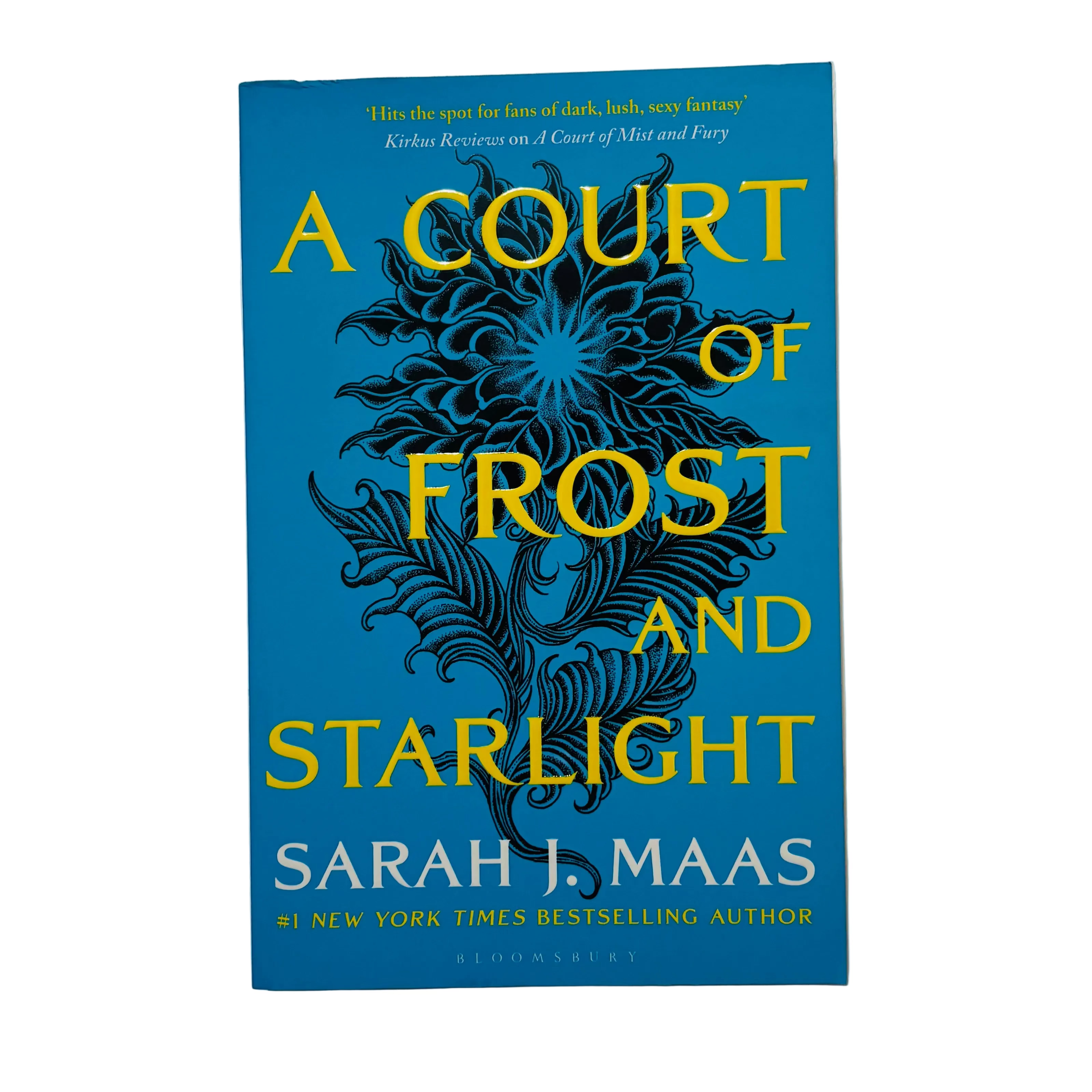 A Court of Frost & Starlight by Sarah J. Maas
