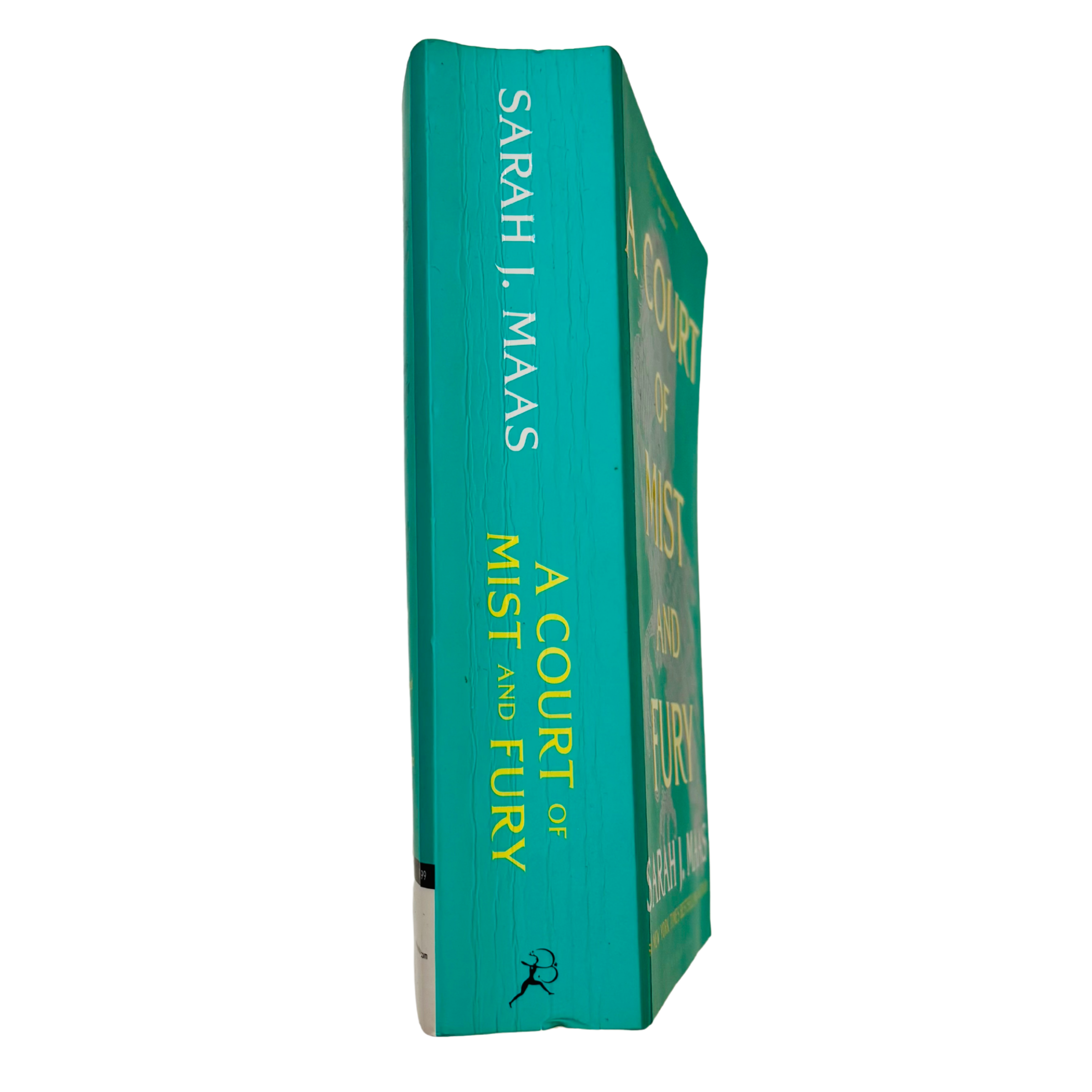 A Court of Mist and Fury by Sarah J. Maas