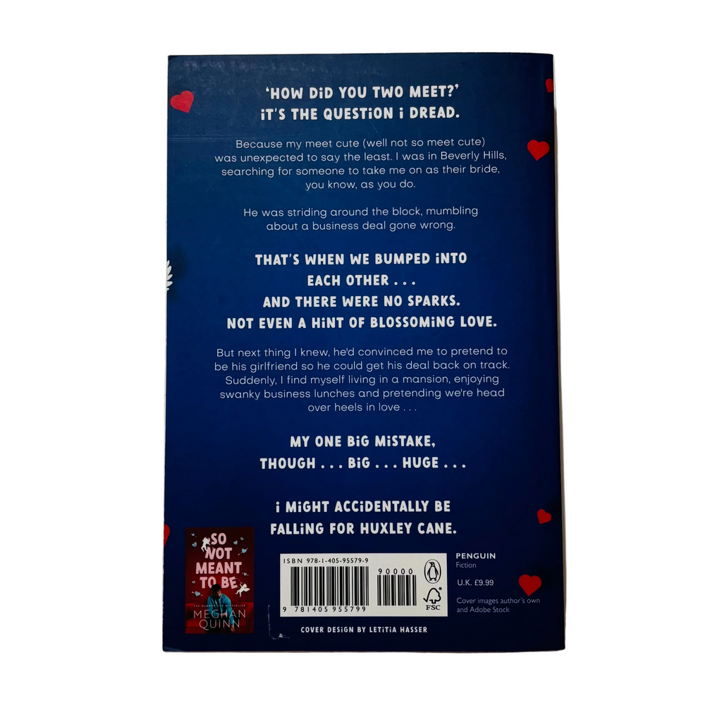 A Not So Meet Cute by Meghan Quinn
