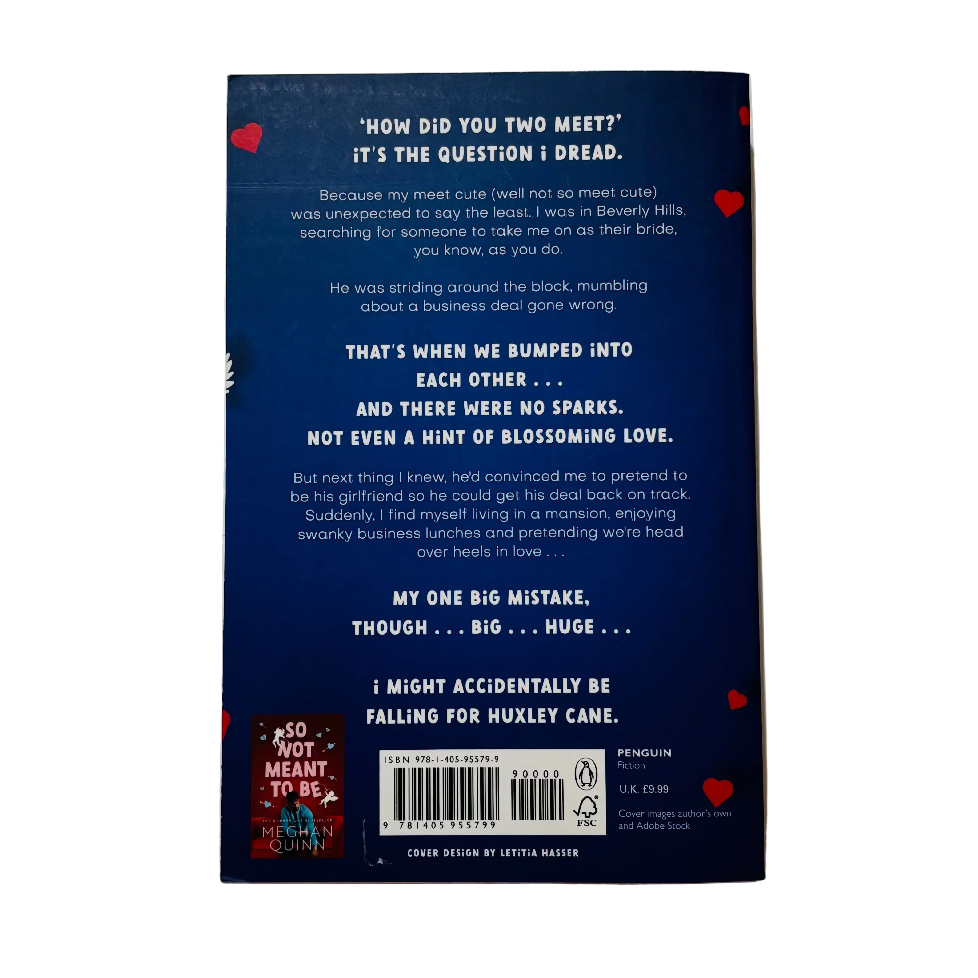 A Not So Meet Cute by Meghan Quinn