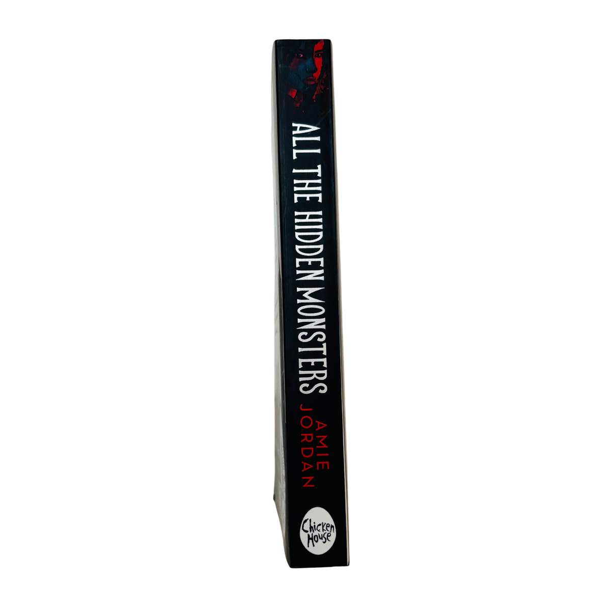 All the Hidden Monsters by Amie Jordan