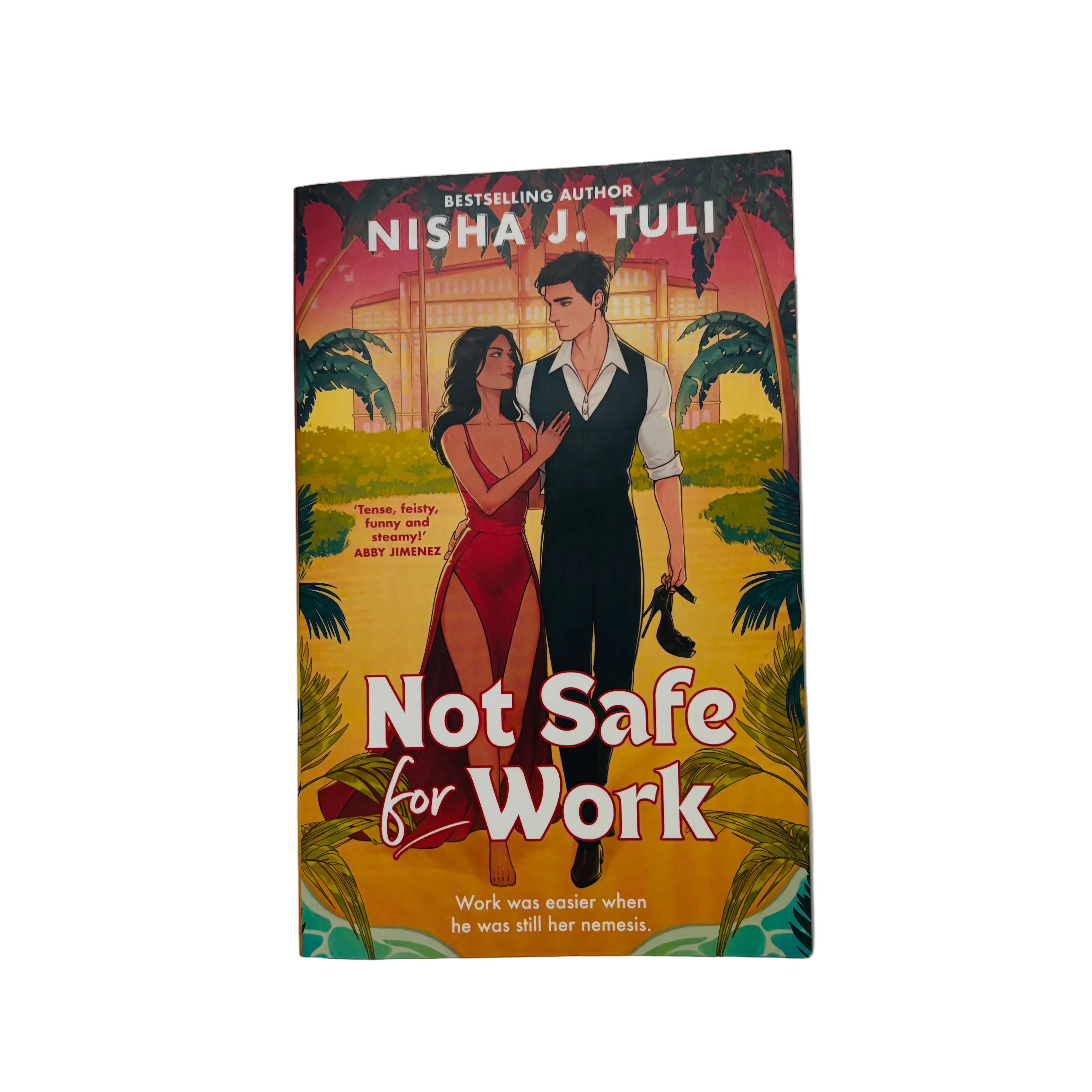 Not Safe for Work by Nisha J. Tuli