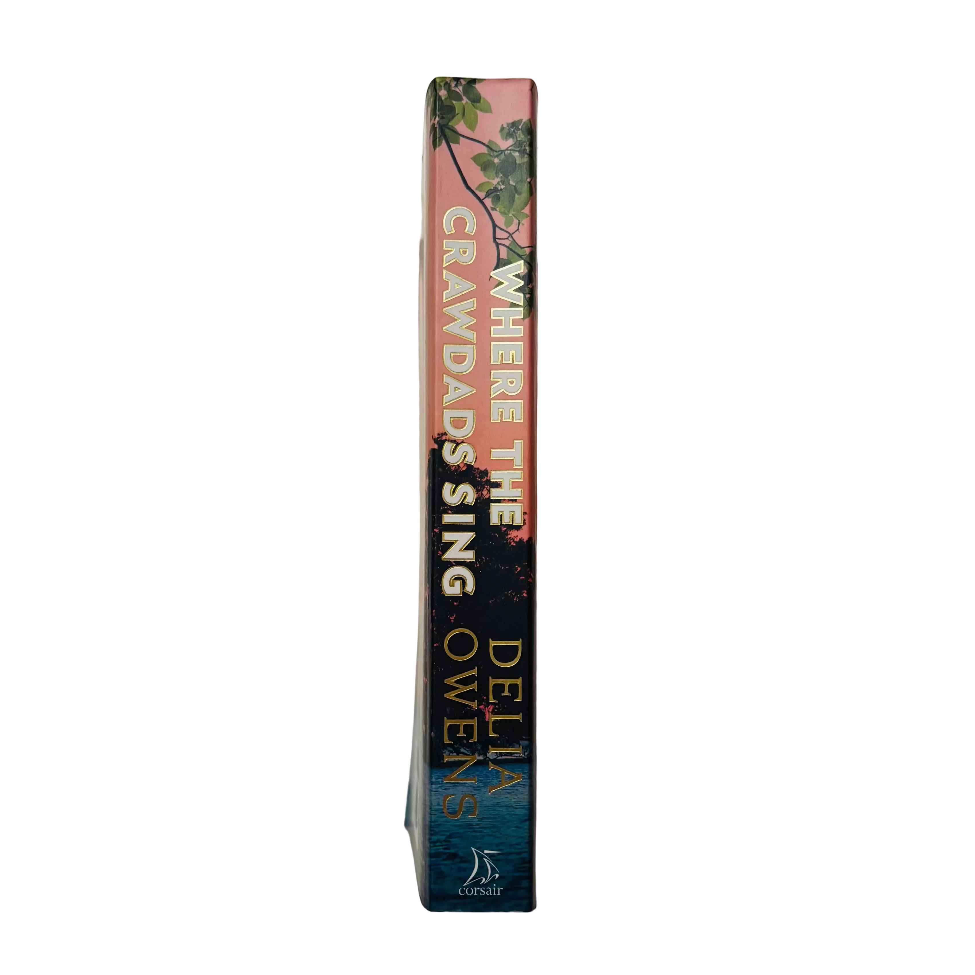 Where the Crawdads Sing by Delia Owens