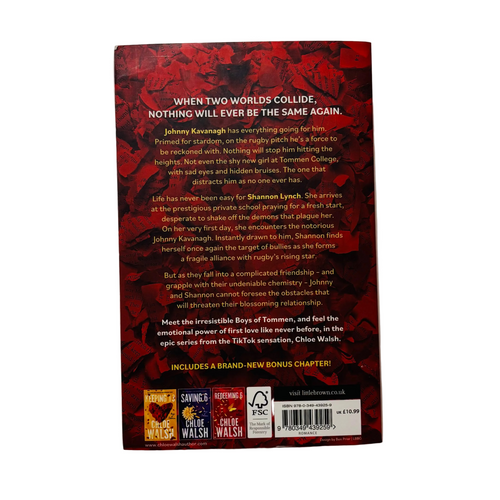 Binding 13 by Chloe Walsh