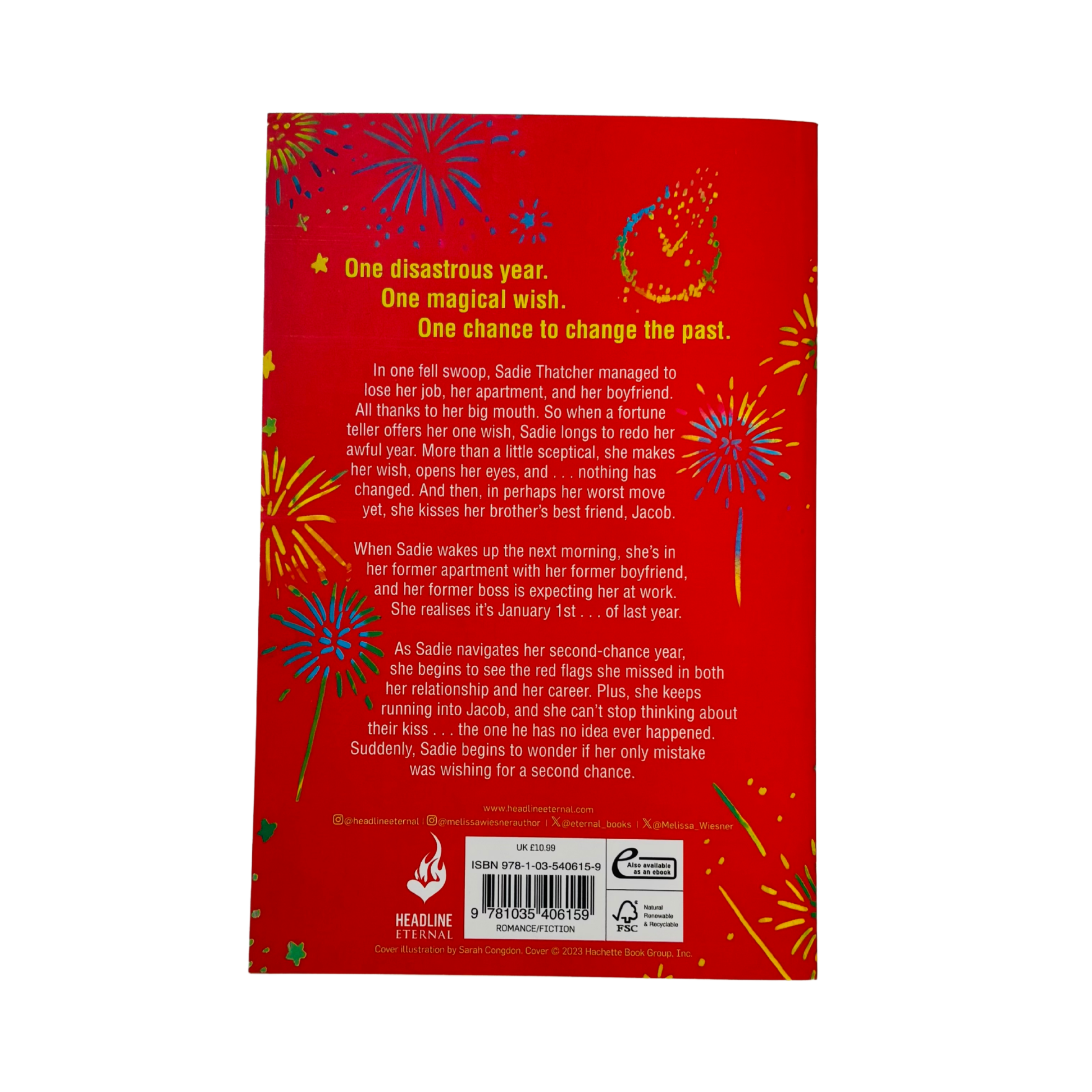 The Second Chance Year by Melissa Wiesner