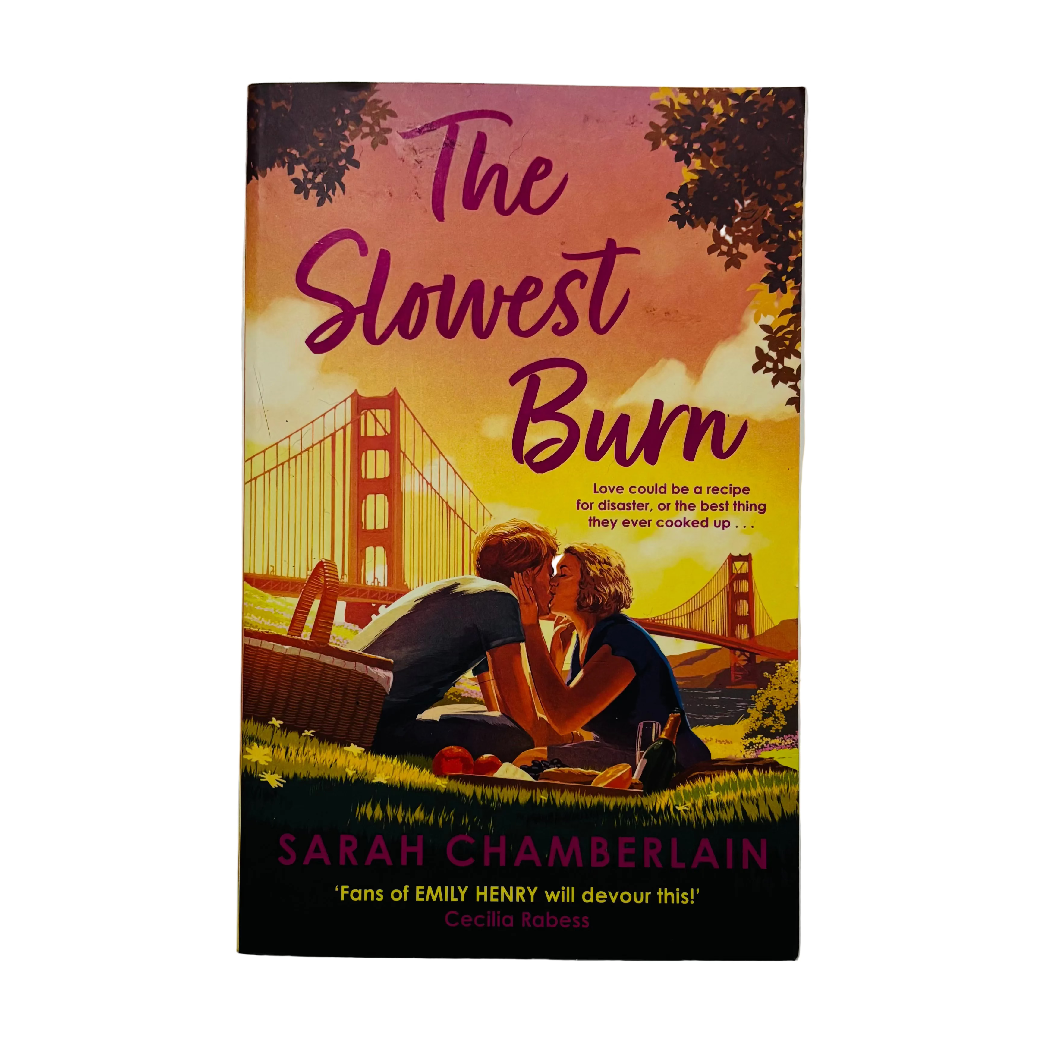 The Slowest Burn by Sarah Chamberlain