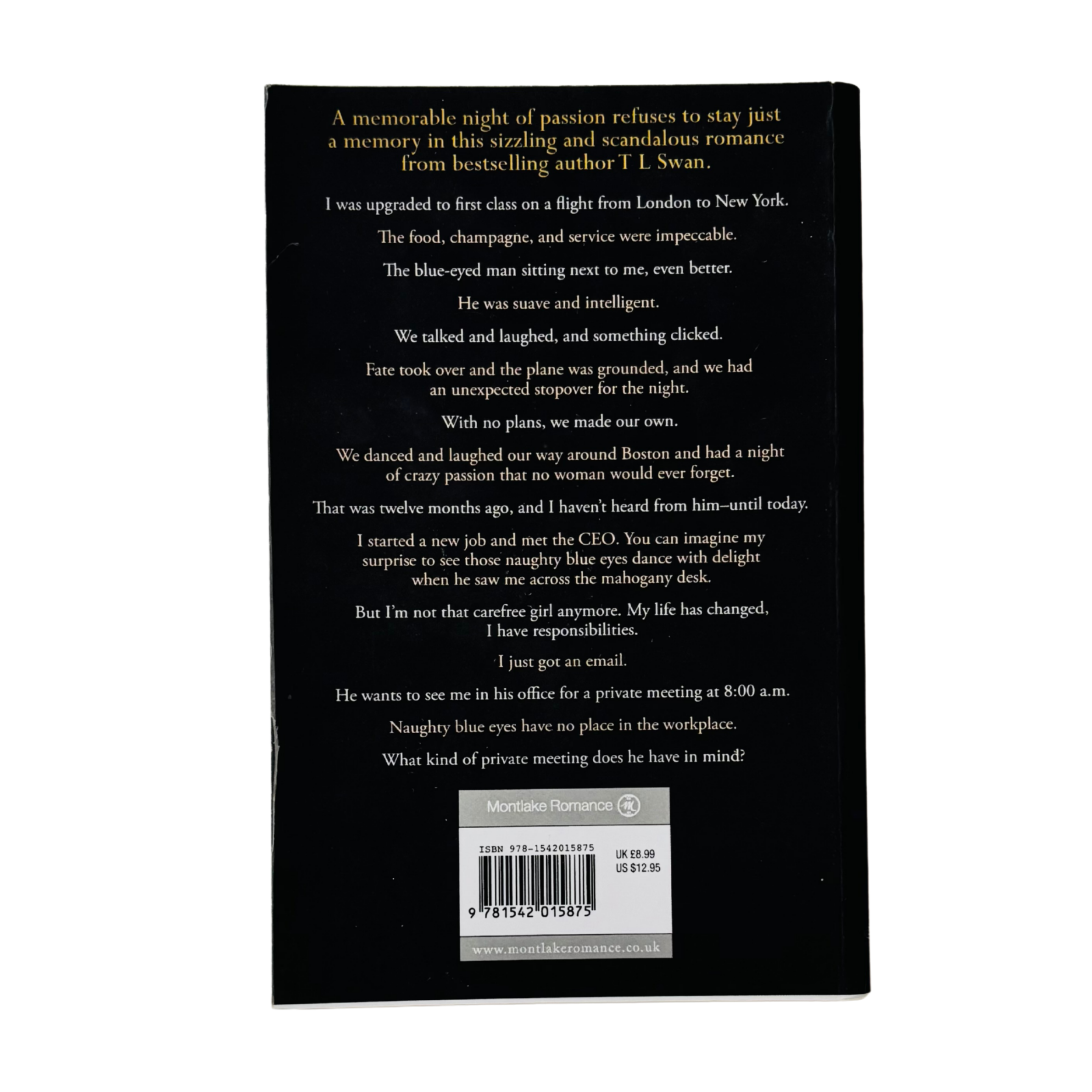 The Stopover by T L Swan