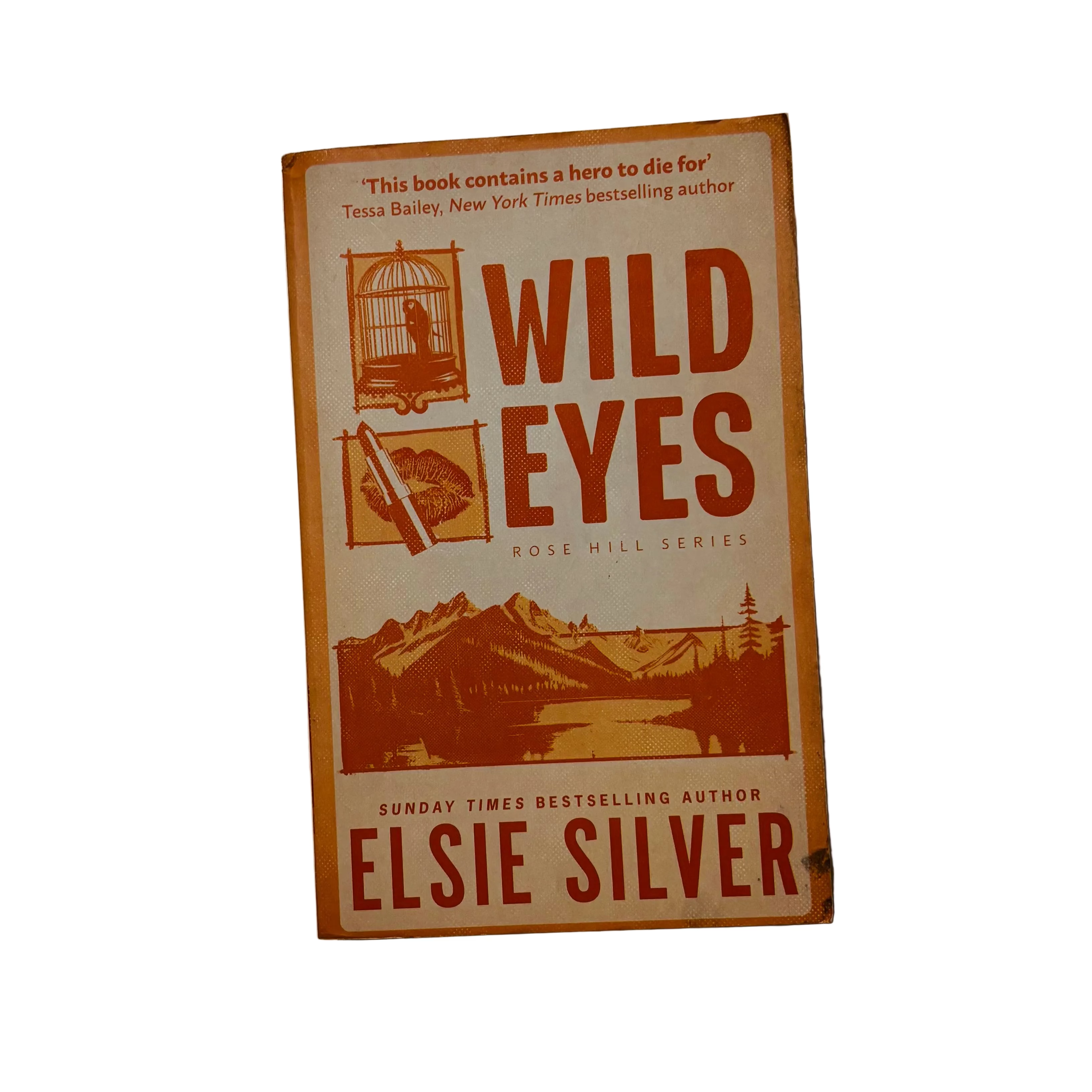 Wild Eyes by Elsie Silver