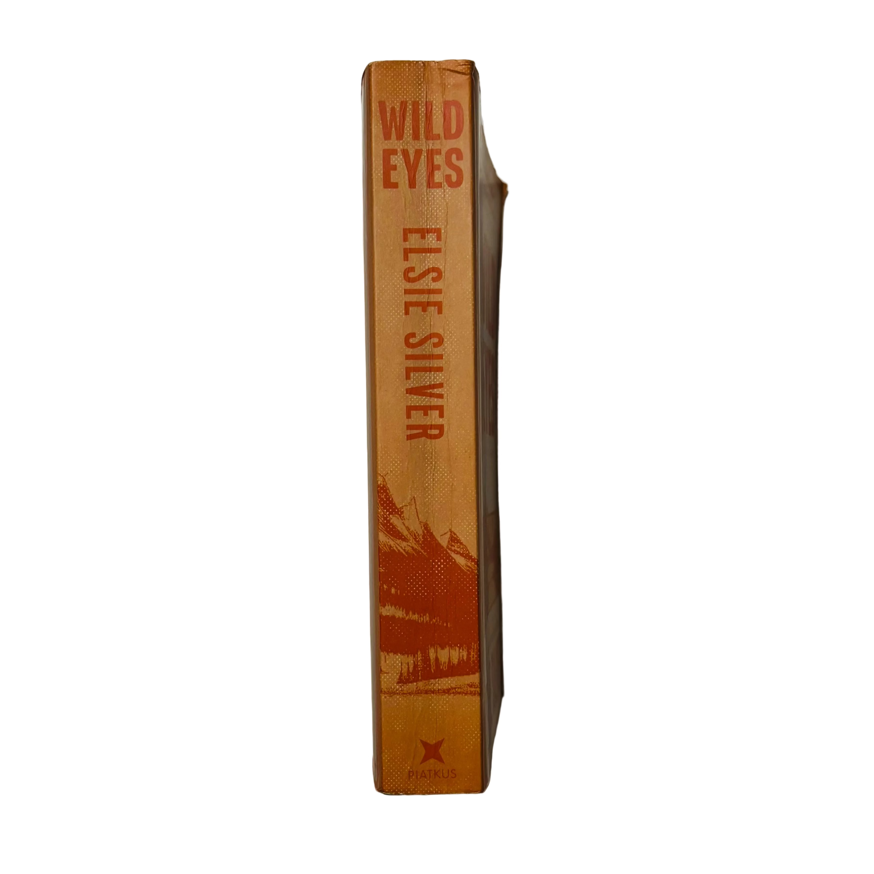 Wild Eyes by Elsie Silver